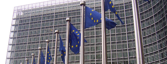 EU Commission, October 2007, Amio Cajander