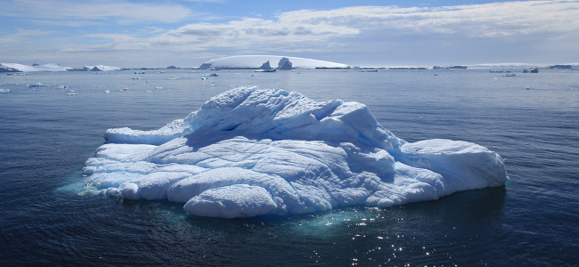 Iceberg in Antarctica, January 2011 by Liam Quinn