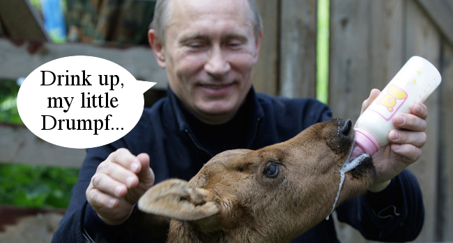 Putin Feeds Drumpf
